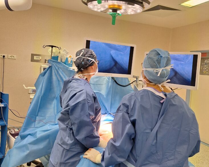 Chirurgie de l'obésité